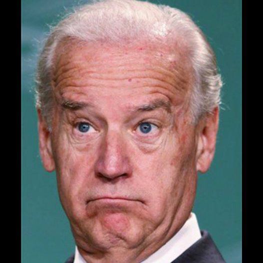 Biden DHS Demands Border Patrol Call Illegals By Their Preferred   99275484 123231339385042 3574454912546766848 N 